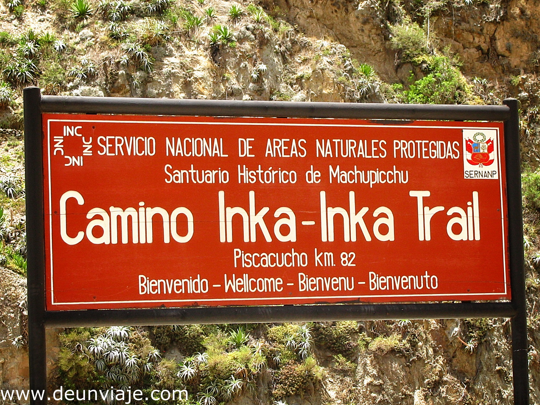 INCA TRAIL (2)