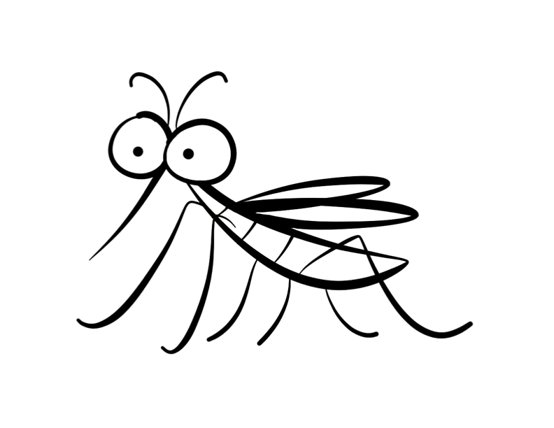 mosquito