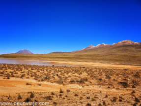 colca-1