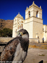 colca-14