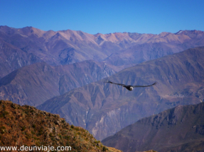 colca-17