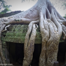 Angkor - Camboya