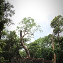 Angkor - Camboya