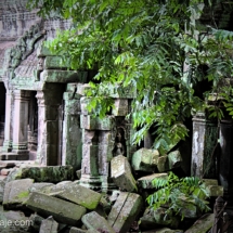 Angkor - Camboya